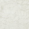 Sylvana Oyster by Clarke And Clarke Designer Fabric