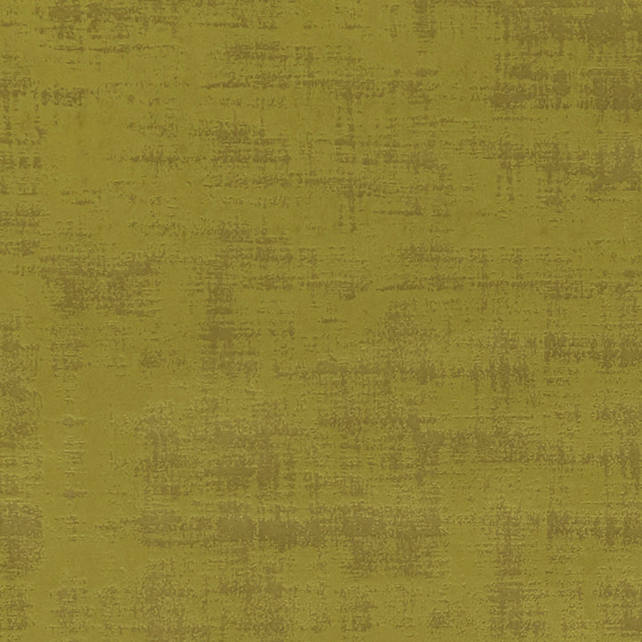 F0967 13 Alessia Citrus by Clarke and Clarke Designer Fabric STUDIO G POLYESTER - 100% China HEAVY Horizontal: 19.49 and Vertical: 19.69 55 - Swanky Fabrics -
