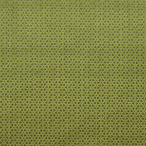 Loreto Olive by Clarke And Clarke Designer Fabric