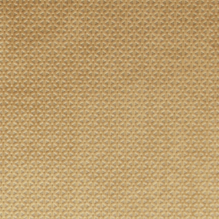 Loreto Gold by Clarke And Clarke Designer Fabric CLARKE & CLARKE LUSTRO POLYESTER - 100% China HEAVY Horizontal: 0.79 and Vertical: 0.39 55 - Swanky Fabrics -