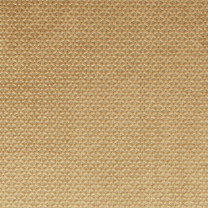 Loreto Gold by Clarke And Clarke Designer Fabric