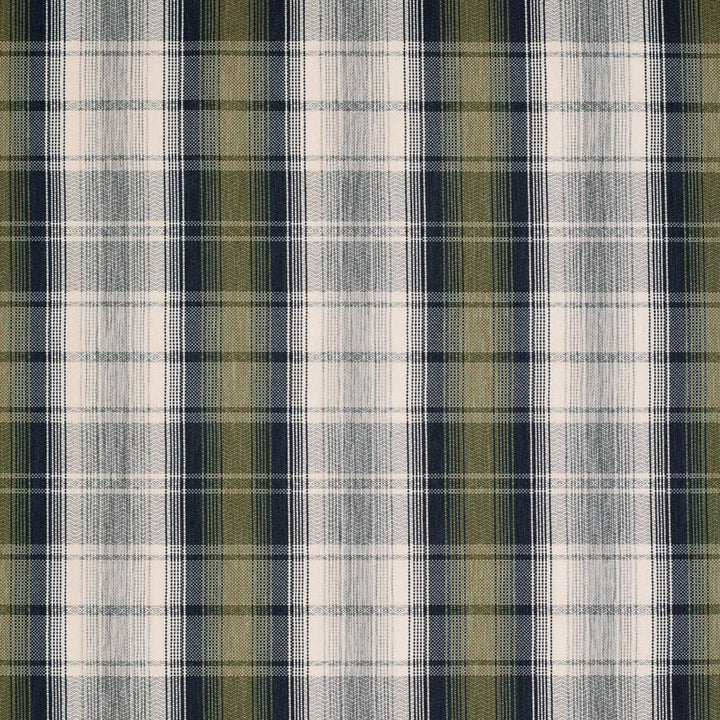 F100-145 by Charlotte Designer Fabric Cypress 79% Olefin, 21% Polyester USA </p><p>Repeat: Horizontal 7" x Vertical 7" 54 Inches - Swanky Fabrics -