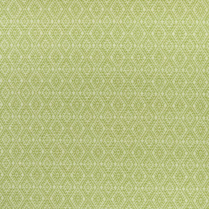 Hampstead Apple by Clarke And Clarke Designer Fabric