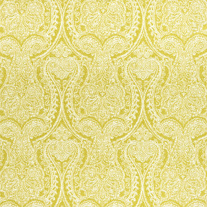 Pastiche Chartreuse by Clarke And Clarke Designer Fabric