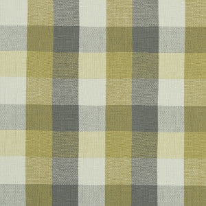 Austin Check Citron/Natural by Clarke And Clarke Designer Fabric