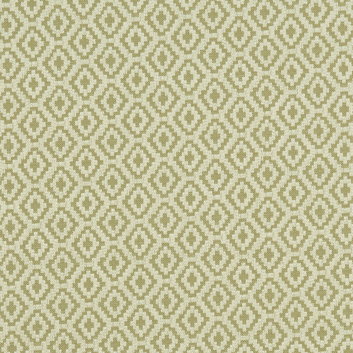 Keaton Olive by Clarke And Clarke Designer Fabric CLARKE & CLARKE CASTLE GARDEN COTTON - 62%;VISCOSE - 28%;LINEN - 7%;POLYESTER - 3% Turkey MEDIUM Horizontal: 2.36 and Vertical: 1.77 54 - Swanky Fabrics -