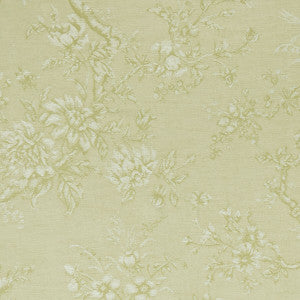 Simone Citron by Clarke And Clarke Designer Fabric