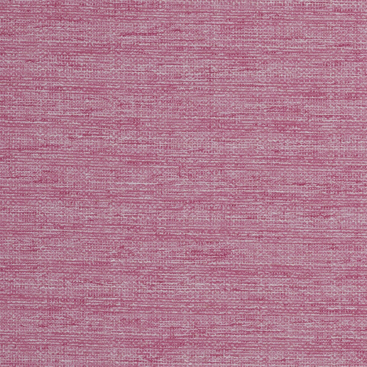 Aldo Raspberry by Clarke And Clarke Designer Fabric CLARKE & CLARKE DELTA POLYESTER - 53%;COTTON - 47% India - Horizontal: 0 and Vertical: 0 54 - Swanky Fabrics -
