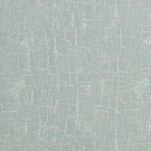 Birch Mineral by Clarke And Clarke Designer Fabric