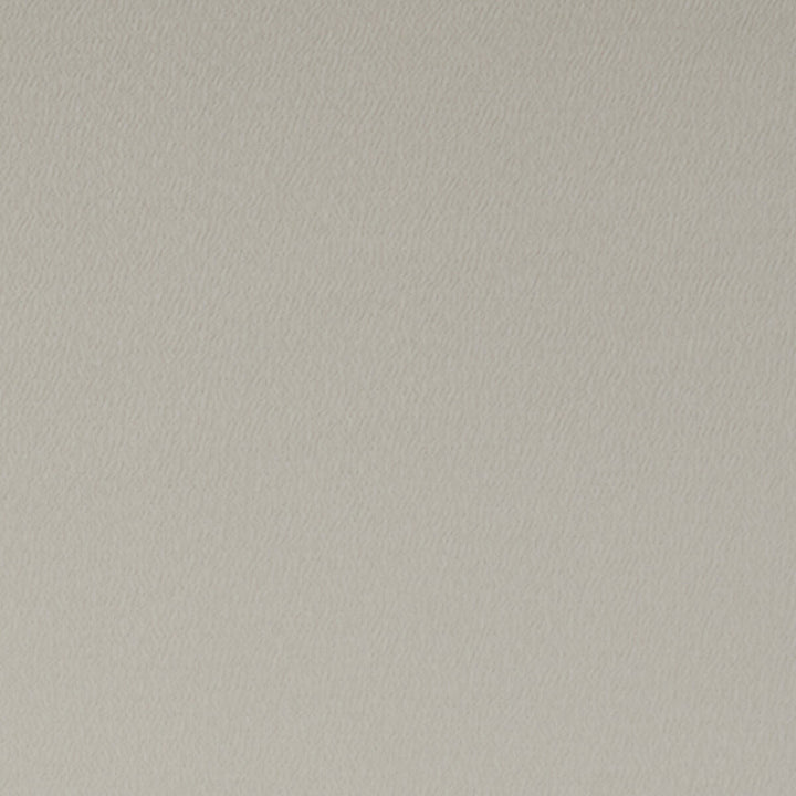 Spectrum Mushroom by Clarke And Clarke Designer Fabric CLARKE & CLARKE SPECTRUM POLYESTER - 54%;COTTON - 46% India HEAVY Horizontal: - and Vertical: - 54 - Swanky Fabrics -