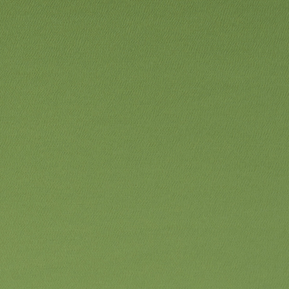 Spectrum Oregano by Clarke And Clarke Designer Fabric CLARKE & CLARKE SPECTRUM POLYESTER - 54%;COTTON - 46% India HEAVY Horizontal: - and Vertical: - 54 - Swanky Fabrics -