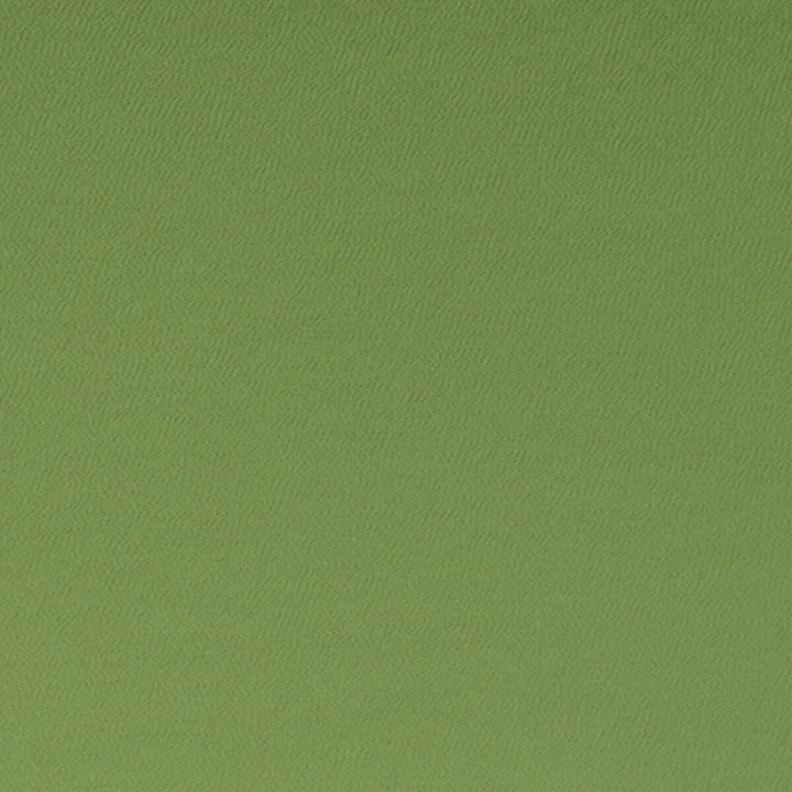Spectrum Oregano by Clarke And Clarke Designer Fabric CLARKE & CLARKE SPECTRUM POLYESTER - 54%;COTTON - 46% India HEAVY Horizontal: - and Vertical: - 54 - Swanky Fabrics -