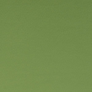 Spectrum Oregano by Clarke And Clarke Designer Fabric