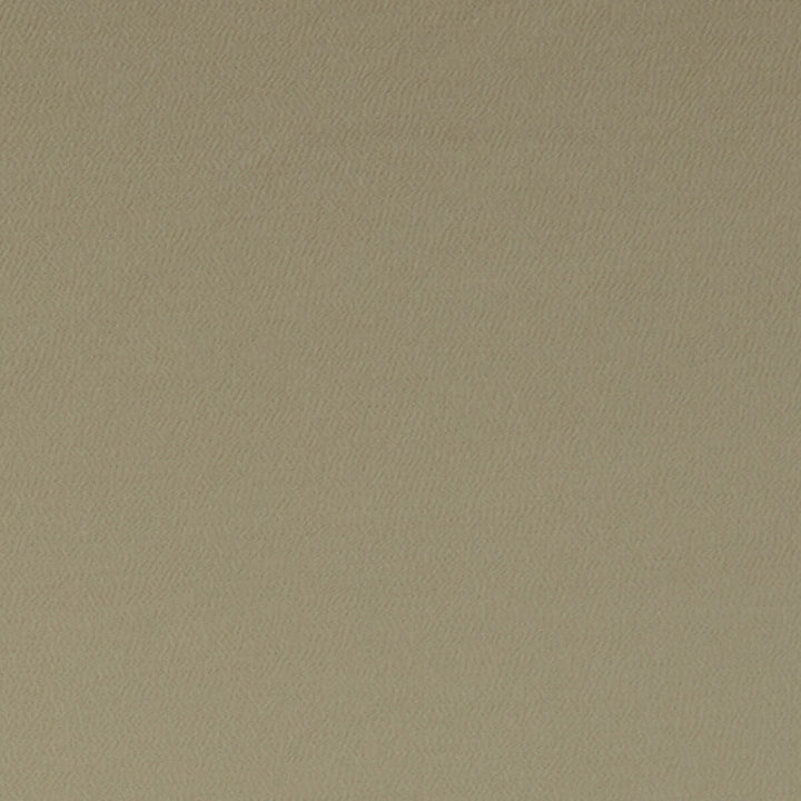 Spectrum Sesame by Clarke And Clarke Designer Fabric CLARKE & CLARKE SPECTRUM POLYESTER - 54%;COTTON - 46% India HEAVY Horizontal: and Vertical: 54 - Swanky Fabrics -