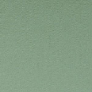 Spectrum Thyme by Clarke And Clarke Designer Fabric