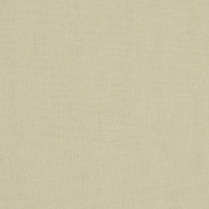 Midori Bamboo by Clarke And Clarke Designer Fabric