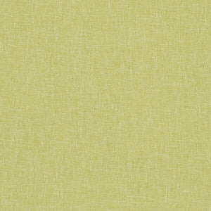 Midori Citron by Clarke And Clarke Designer Fabric