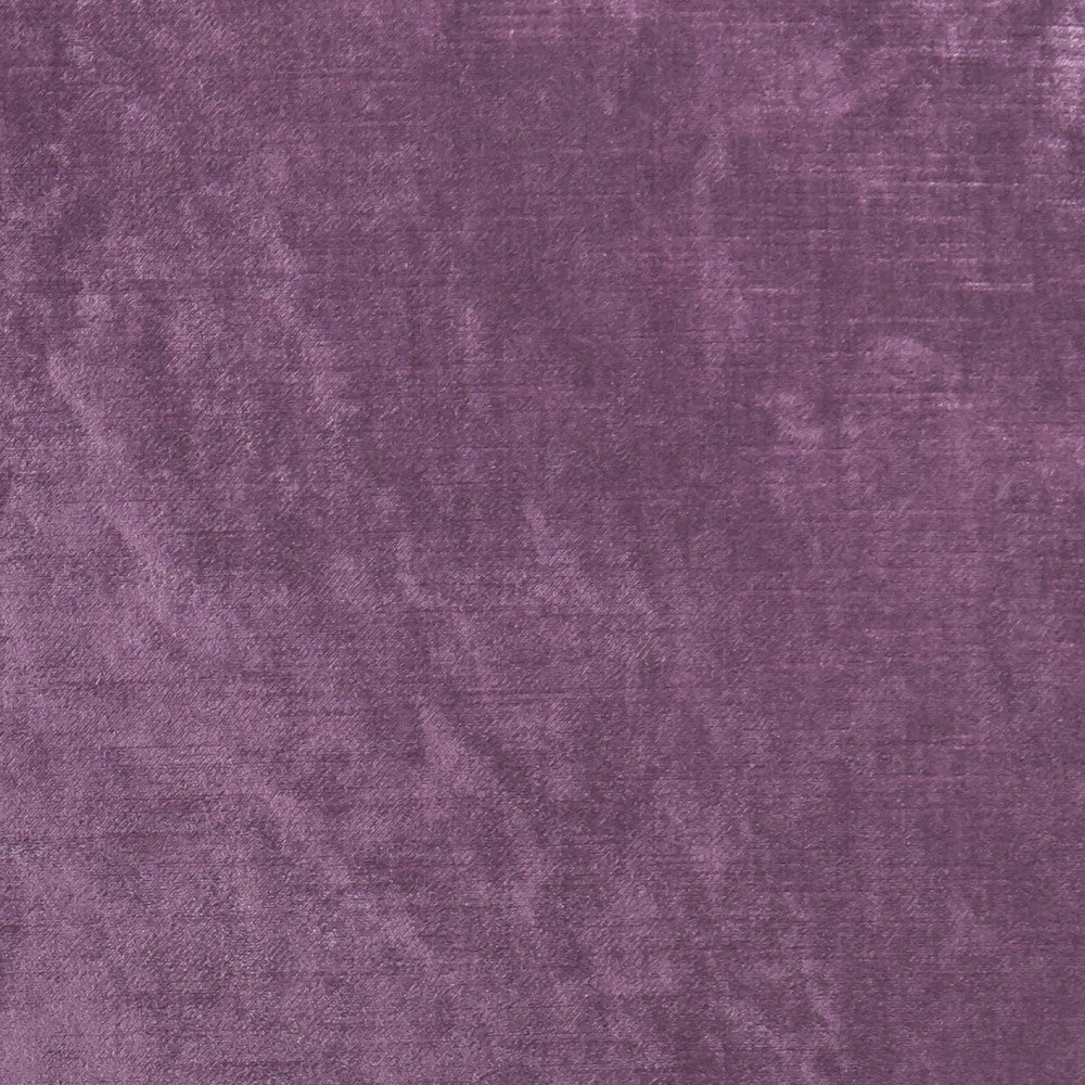 Allure Berry by Clarke And Clarke Designer Fabric CLARKE & CLARKE ALLURE POLYESTER - 100% India HEAVY Horizontal: 0 and Vertical: 0 57 - Swanky Fabrics -