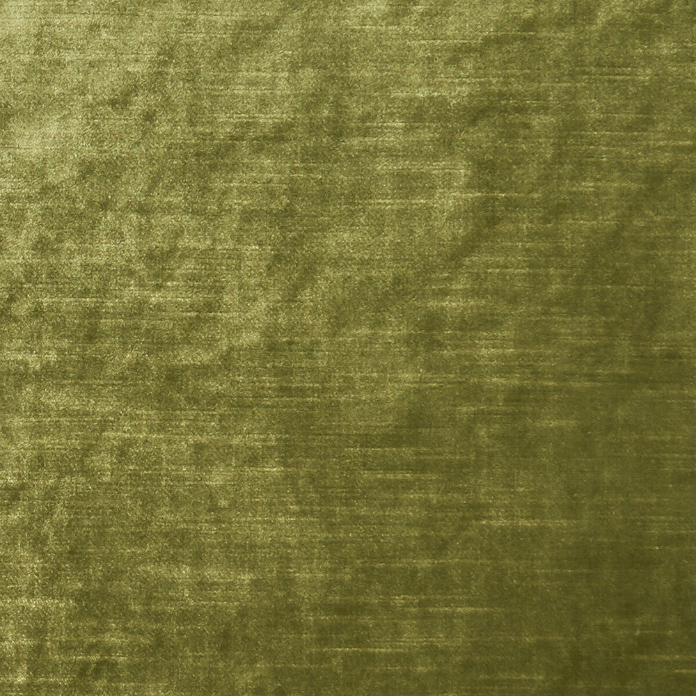 Allure Moss by Clarke And Clarke Fabric Clarke And Clarke Fabric Allure MossFabric CLARKE & CLARKE ALLURE POLYESTER - 100% India </p><p>Repeat: H: 0, V: 0 57 - Fabric Carolina -