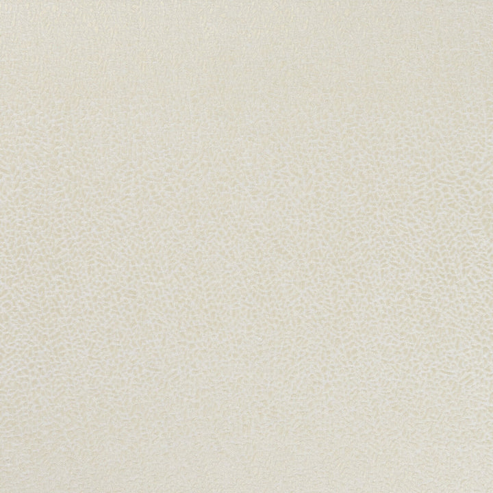 Isla Ivory/Gilver by Clarke And Clarke Designer Fabric CLARKE & CLARKE BOTANICA VISCOSE - 35%;POLYESTER - 33%;COTTON - 32% India HEAVY Horizontal: 0 and Vertical: 0 55 - Swanky Fabrics -