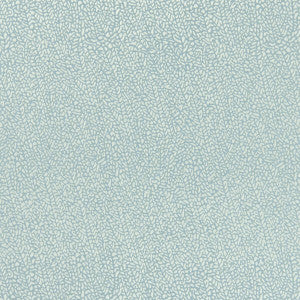 Isla Mineral/Silver by Clarke And Clarke Designer Fabric