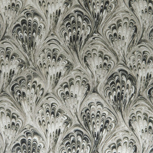 Pavone Charcoal/Natural by Clarke And Clarke Designer Fabric