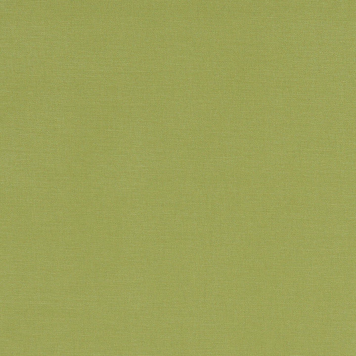 Alora Apple by Clarke And Clarke Designer Fabric CLARKE & CLARKE ALORA COTTON - 100% Spain HEAVY Horizontal: 0 and Vertical: 0 54 - Swanky Fabrics -