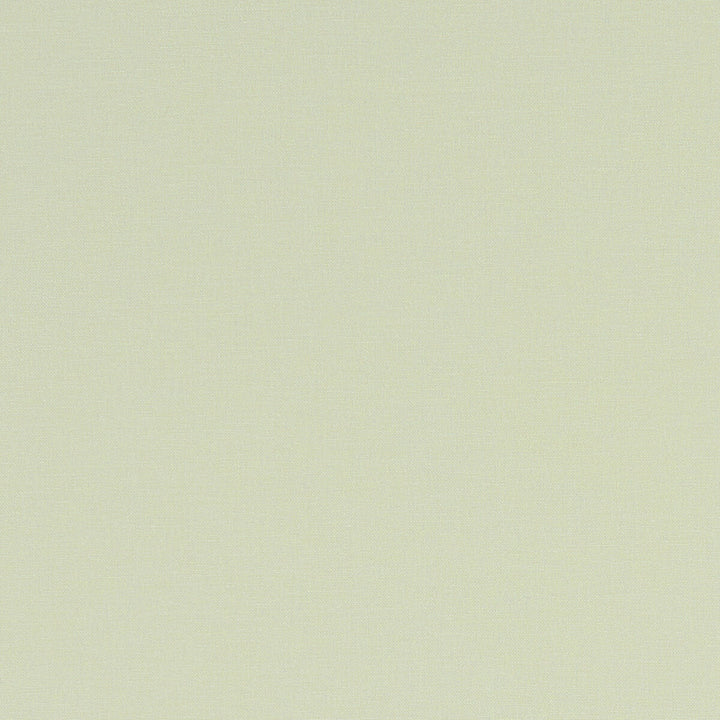 Alora Celadon by Clarke And Clarke Designer Fabric CLARKE & CLARKE ALORA COTTON - 100% Spain HEAVY Horizontal: 0 and Vertical: 0 54 - Swanky Fabrics -