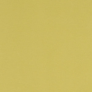 Alora Celery by Clarke And Clarke Designer Fabric