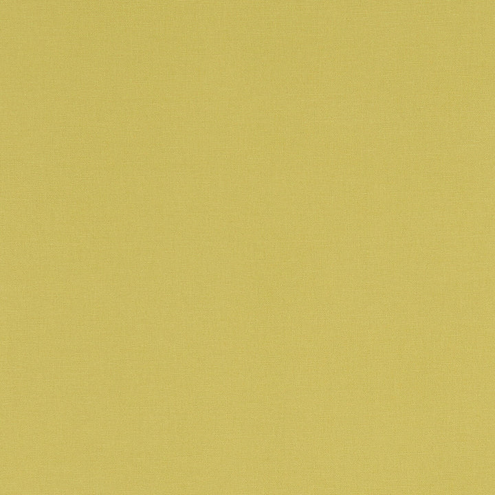 Alora Celery by Clarke And Clarke Designer Fabric CLARKE & CLARKE ALORA COTTON - 100% Spain HEAVY Horizontal: 0 and Vertical: 0 54 - Swanky Fabrics -