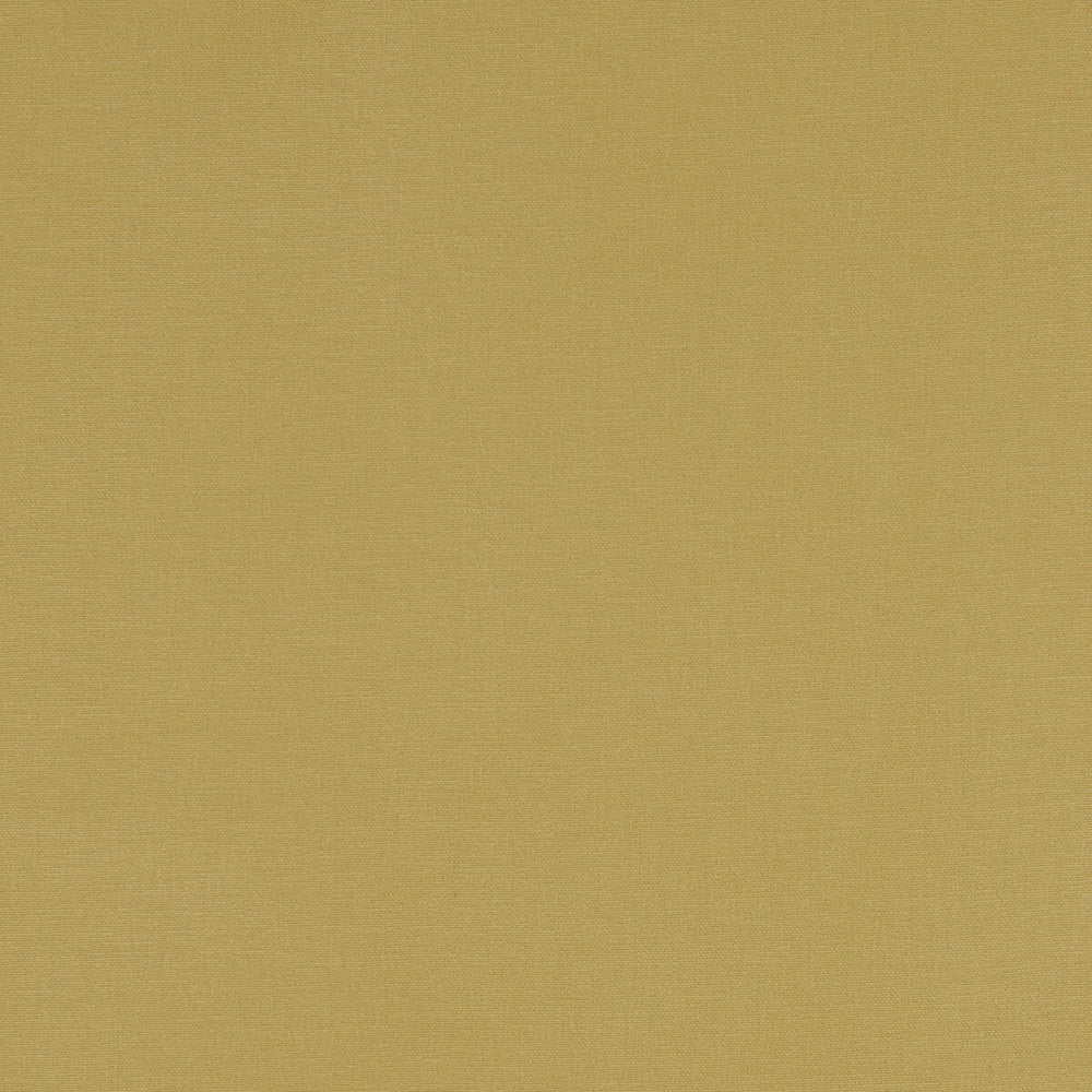 Alora Chartreuse by Clarke And Clarke Designer Fabric CLARKE & CLARKE ALORA COTTON - 100% Spain HEAVY Horizontal: 0 and Vertical: 0 54 - Swanky Fabrics -