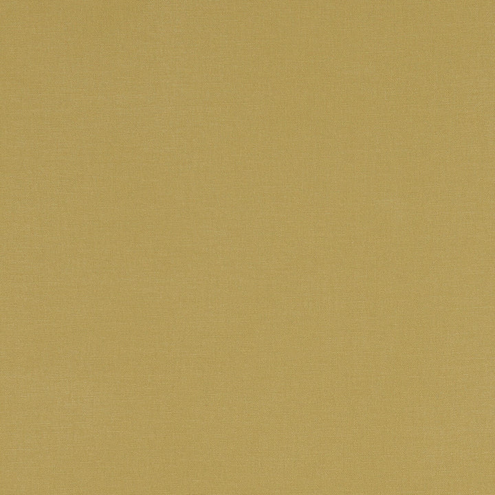 Alora Chartreuse by Clarke And Clarke Designer Fabric CLARKE & CLARKE ALORA COTTON - 100% Spain HEAVY Horizontal: 0 and Vertical: 0 54 - Swanky Fabrics -