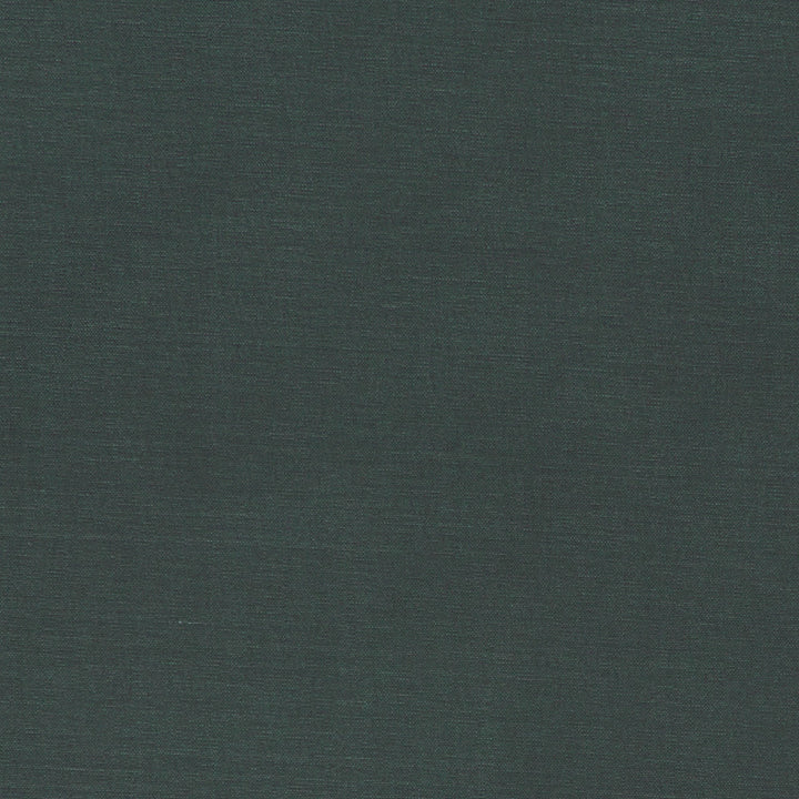 F1097 24 Alora Gunmetal by Clarke and Clarke Designer Fabric STUDIO G COTTON - 100% Spain HEAVY Horizontal: 0 and Vertical: 0 54 - Swanky Fabrics -