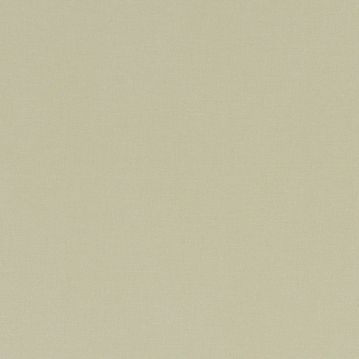 F1097 26 Alora Hemp by Clarke and Clarke Designer Fabric STUDIO G COTTON - 100% Spain HEAVY Horizontal: 0 and Vertical: 0 54 - Swanky Fabrics -