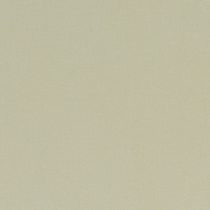 Alora Hemp by Clarke And Clarke Designer Fabric CLARKE & CLARKE ALORA COTTON - 100% Spain HEAVY Horizontal: 0 and Vertical: 0 54 - Swanky Fabrics -