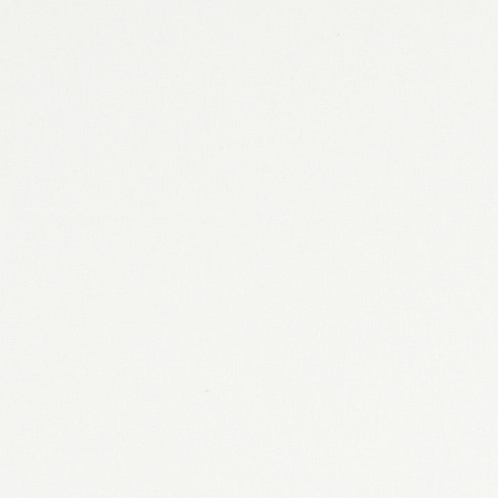Alora Ivory by Clarke And Clarke Designer Fabric CLARKE & CLARKE ALORA COTTON - 100% Spain HEAVY Horizontal: 0 and Vertical: 0 54 - Swanky Fabrics -