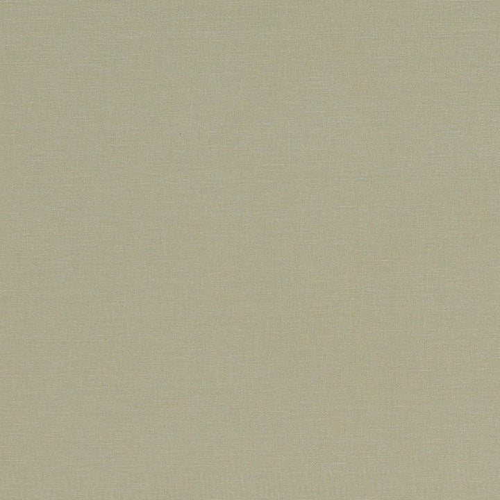 F1097 30 Alora Khaki by Clarke and Clarke Designer Fabric STUDIO G COTTON - 100% Spain HEAVY Horizontal: 0 and Vertical: 0 54 - Swanky Fabrics -