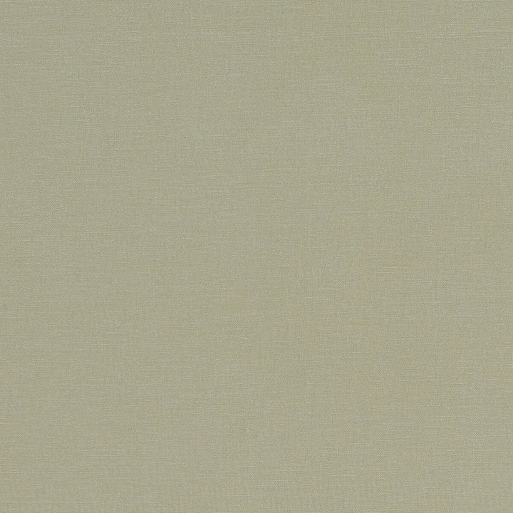 Alora Khaki by Clarke And Clarke Designer Fabric CLARKE & CLARKE ALORA COTTON - 100% Spain HEAVY Horizontal: 0 and Vertical: 0 54 - Swanky Fabrics -