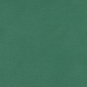 Alora Leaf by Clarke And Clarke Designer Fabric