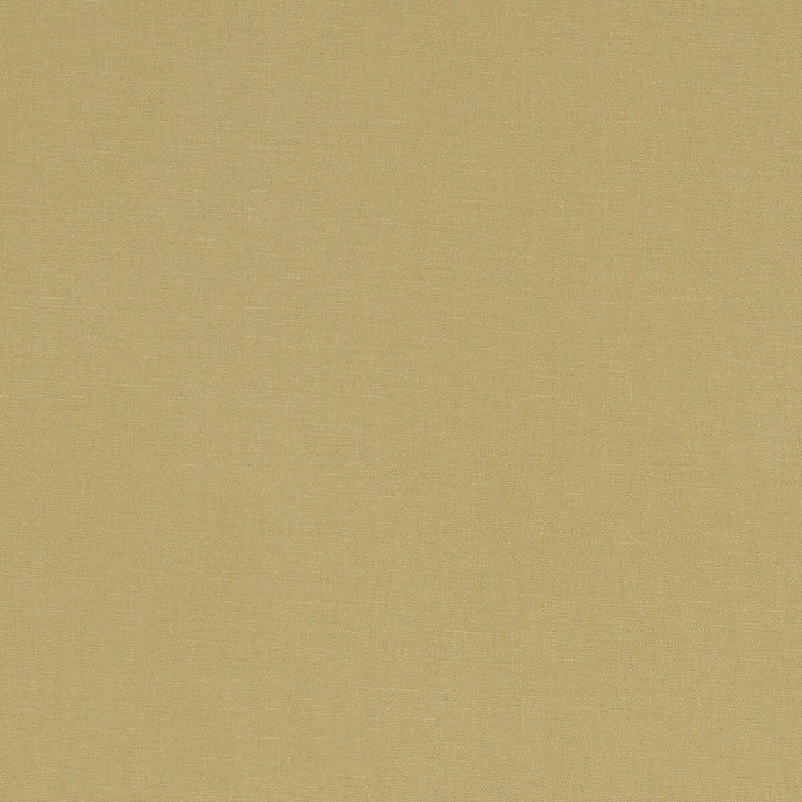 Alora Malt by Clarke And Clarke Designer Fabric CLARKE & CLARKE ALORA COTTON - 100% Spain HEAVY Horizontal: 0 and Vertical: 0 54 - Swanky Fabrics -