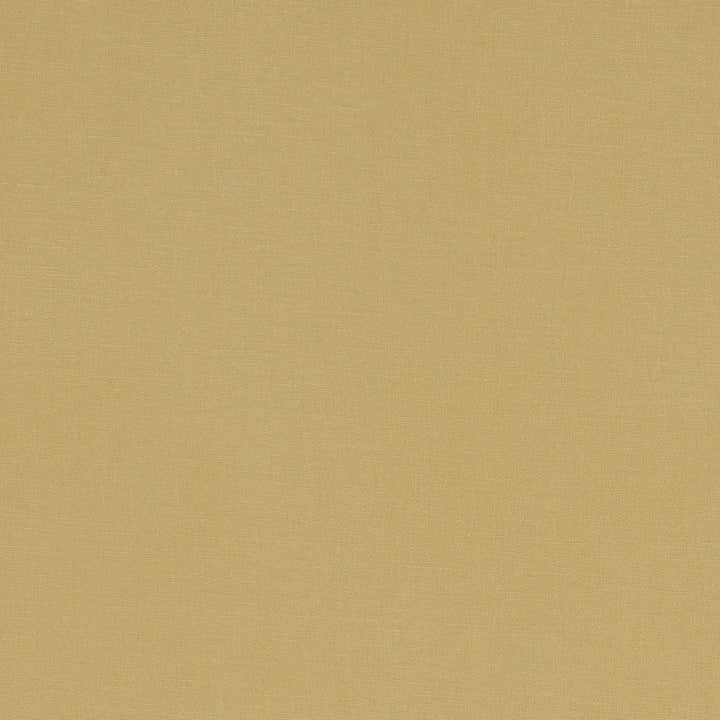 F1097 35 Alora Malt by Clarke and Clarke Designer Fabric STUDIO G COTTON - 100% Spain HEAVY Horizontal: 0 and Vertical: 0 54 - Swanky Fabrics -