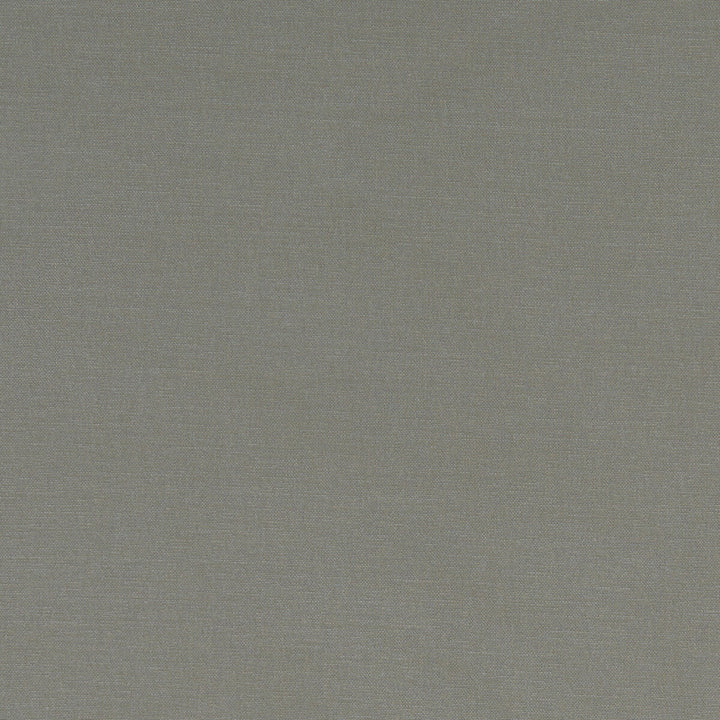 Alora Mink by Clarke And Clarke Designer Fabric CLARKE & CLARKE ALORA COTTON - 100% Spain HEAVY Horizontal: 0 and Vertical: 0 54 - Swanky Fabrics -