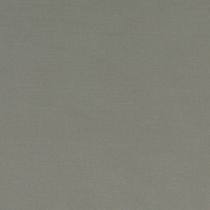 F1097 38 Alora Mink by Clarke and Clarke Designer Fabric STUDIO G COTTON - 100% Spain HEAVY Horizontal: 0 and Vertical: 0 54 - Swanky Fabrics -