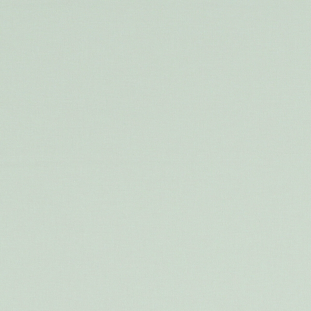 Alora Mint by Clarke And Clarke Designer Fabric CLARKE & CLARKE ALORA COTTON - 100% Spain HEAVY Horizontal: 0 and Vertical: 0 54 - Swanky Fabrics -