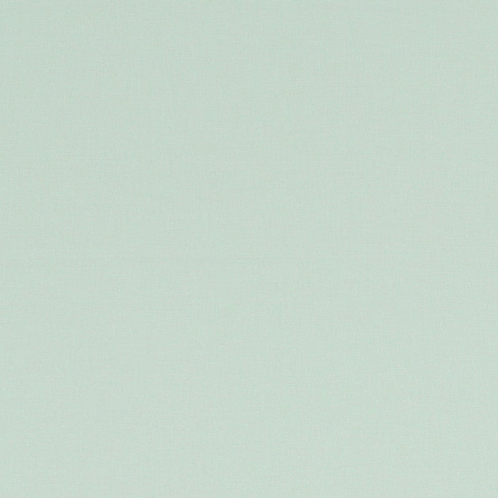 F1097 39 Alora Mint by Clarke and Clarke Designer Fabric STUDIO G COTTON - 100% Spain HEAVY Horizontal: 0 and Vertical: 0 54 - Swanky Fabrics -