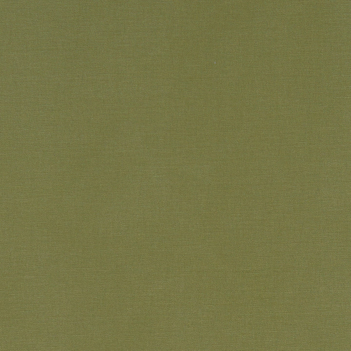 F1097 41 Alora Moss by Clarke and Clarke Designer Fabric STUDIO G COTTON - 100% Spain HEAVY Horizontal: 0 and Vertical: 0 54 - Swanky Fabrics -