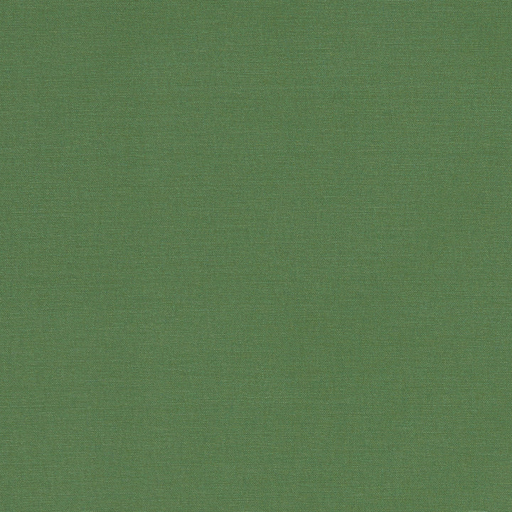 F1097 43 Alora Palm by Clarke and Clarke Designer Fabric STUDIO G COTTON - 100% Spain HEAVY Horizontal: 0 and Vertical: 0 54 - Swanky Fabrics -