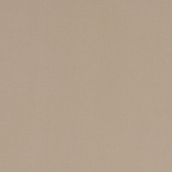 F1097 55 Alora Sand by Clarke and Clarke Designer Fabric STUDIO G COTTON - 100% Spain HEAVY Horizontal: 0 and Vertical: 0 54 - Swanky Fabrics -