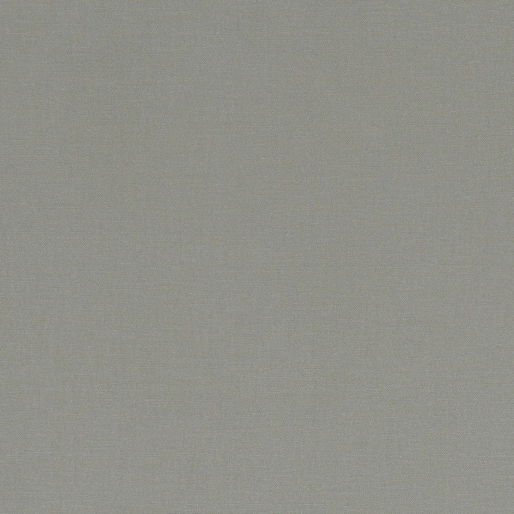 F1097 58 Alora Smoke by Clarke and Clarke Designer Fabric STUDIO G COTTON - 100% Spain HEAVY Horizontal: 0 and Vertical: 0 54 - Swanky Fabrics -