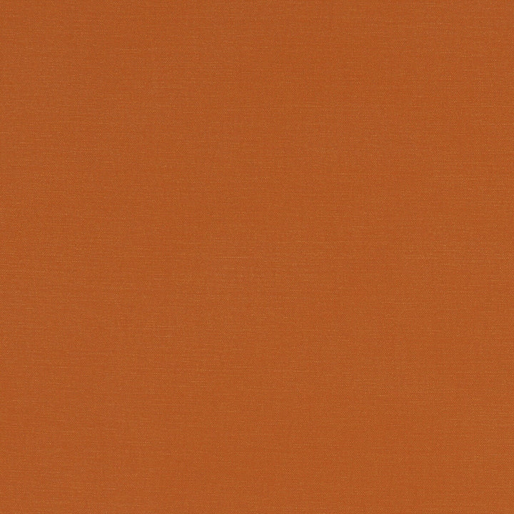 Alora Spice by Clarke And Clarke Designer Fabric CLARKE & CLARKE ALORA COTTON - 100% Spain HEAVY Horizontal: 0 and Vertical: 0 54 - Swanky Fabrics -